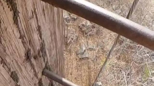 每个不曾起舞的日子，都是对生命的辜负，又开始期待夏天了 #保持热爱奔赴山海  #悬崖跳水 #极限运动