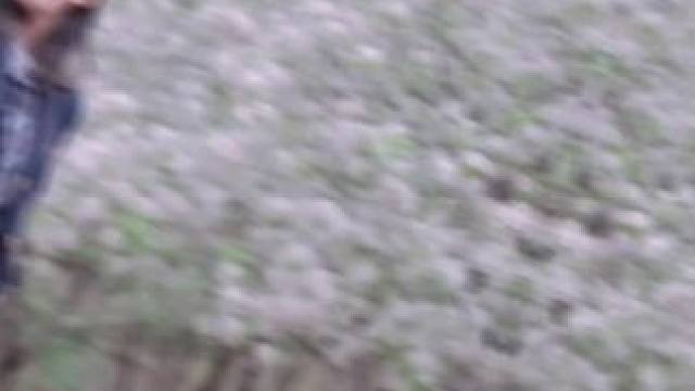 你那么温柔 走两步都会甜一些#dou来跳舞 #jk制服