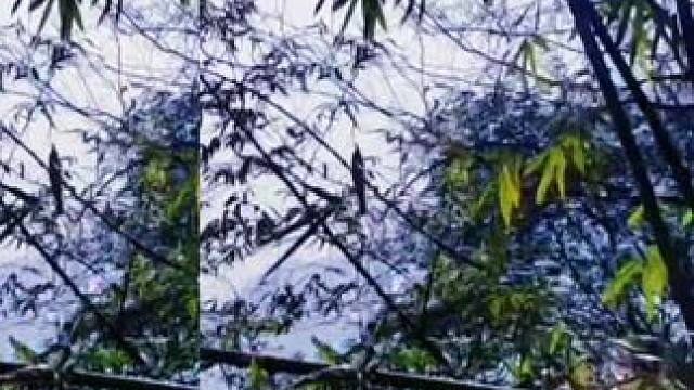 #热门音乐百听不厌 热歌 #原创作品