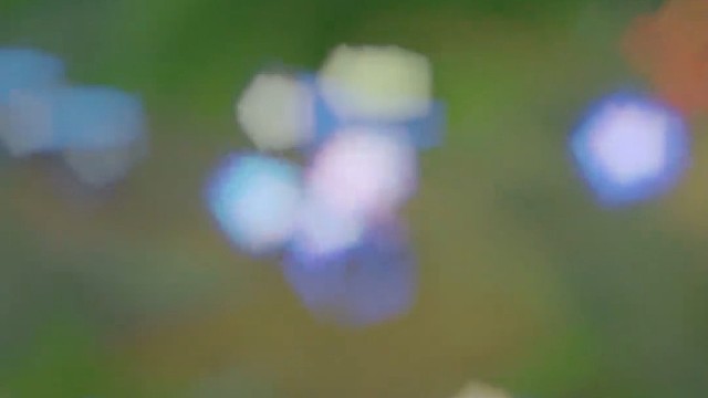 身法，你看得懂吗？