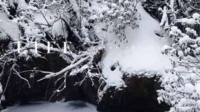 没看过龙苍沟天生桥大雪的冬天不完整#春节旅游攻略已到位 #冬天该有的样子 #堆雪人大赛 #龙苍沟森林