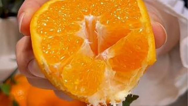 学员作品展示#手机摄影 #半真人出镜 #摄影教学 #拍摄技巧 #摄影培训