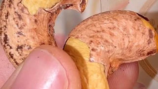 年货必备的紫皮腰果，粒粒饱满，咸香酥脆，大人小孩都爱吃#腰果#坚果#年货#零食推荐