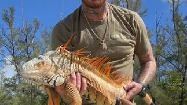 野生动物零距离~