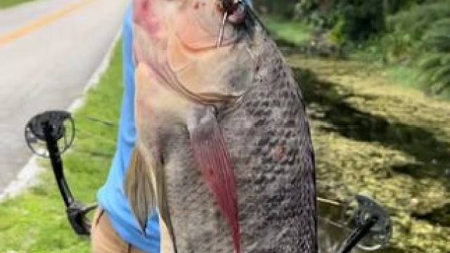 国外合法拍摄国内请勿模仿~