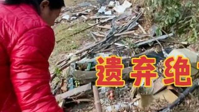 大山里面有很多宝剑，既然没人要，真是太浪费了 #我的乡野山居生活 #捡东西 #我要做爆款