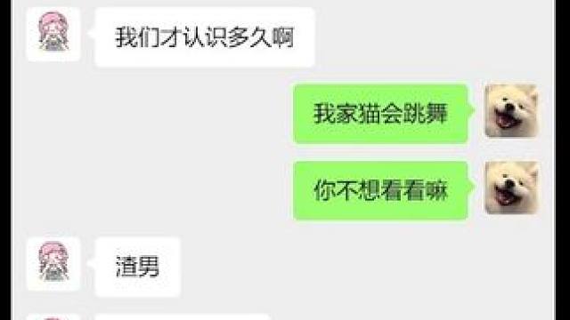 她为什么不信我家猫会跳舞啊