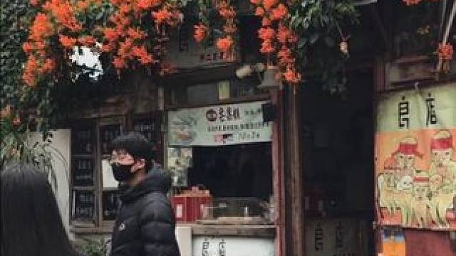 《鼓浪屿.良店》满墙的的炮仗花开了，因韩国综艺.新西游记，吸引多少游客慕名而来打卡拍照。 
#我的摄