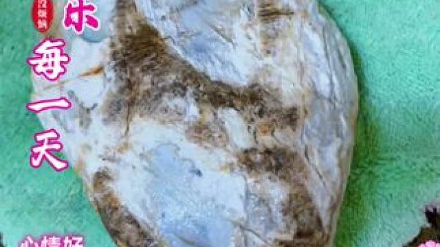 我发布了一个新视频，快来围观吧！