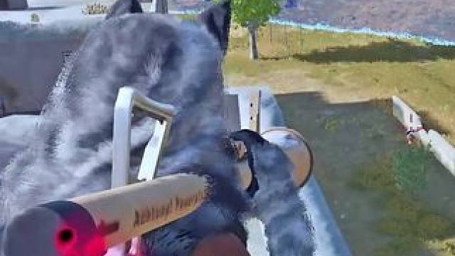 这队人上辈子造了什么孽，被俩老六整#老六 #又菜又爱玩系列 #游戏日常 #绝地求生 #令人窒息的操作