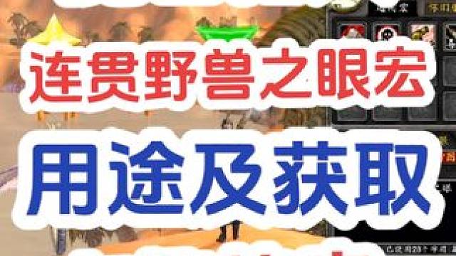 #魔兽世界plus 猎人连贯野兽之眼宏命令用途及获取 有趣欢乐多#游戏解说