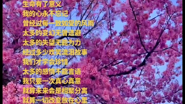 只要一次真心实意