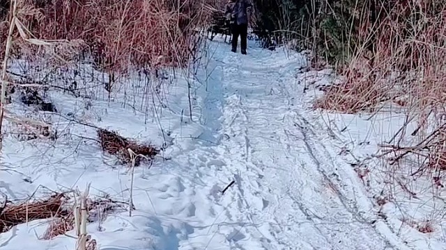 这就是我小时候的回忆