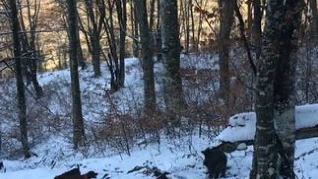 国外合法拍摄国内请勿模仿~