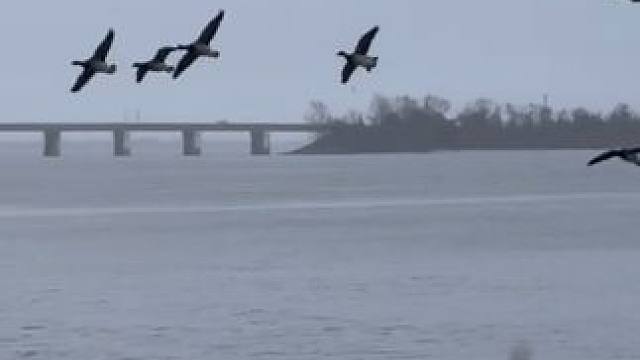 国外合法拍摄国内请勿模仿~