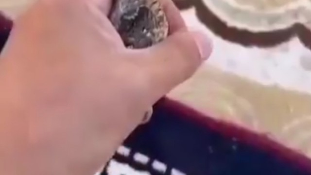 这是什么，有知道的吗