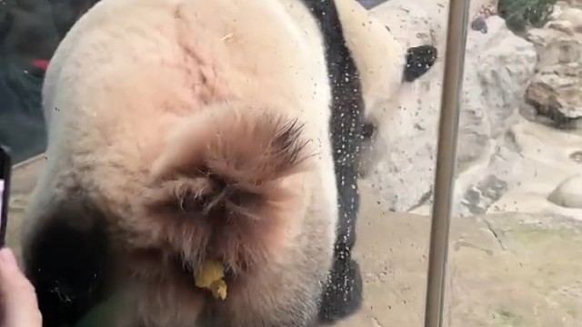 这个得拘留十五天才行吧