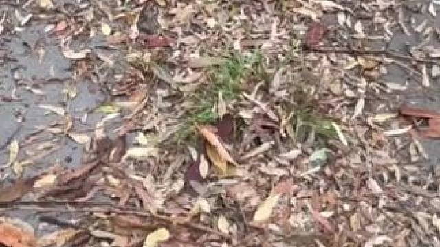 我发布了一个新视频，快来围观吧！