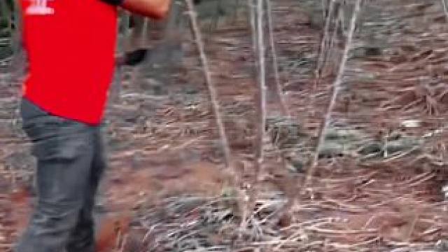 我发布了一个新视频，快来围观吧！