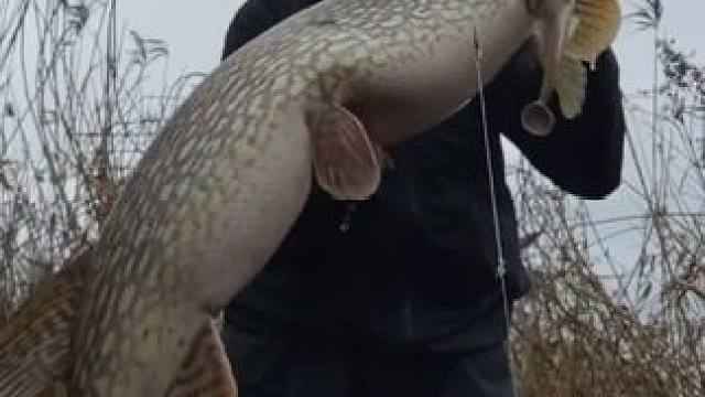 钓鱼人就是这么疯狂~