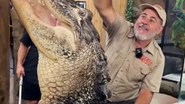 专业操作请勿模仿~