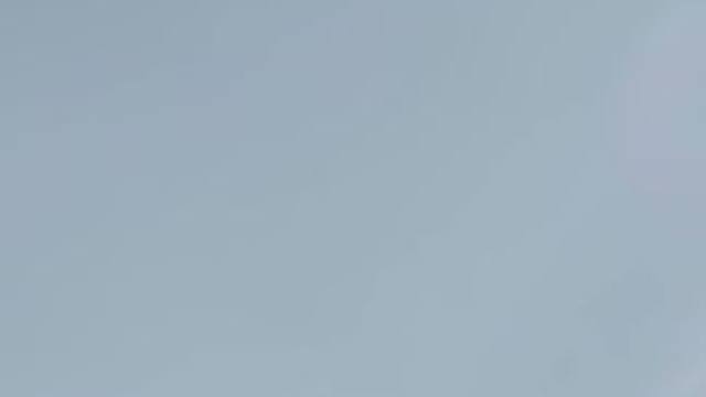 宝哥又又又杀疯了#三国杀