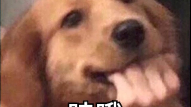 乌蒙衫连着衫外衫