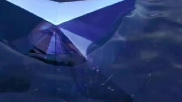 #阴阳师 #式神讲解 虚假之月单控克星SSR月读