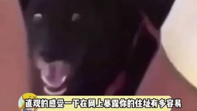 好害怕 特别是他如此平淡的讲出搜索过程