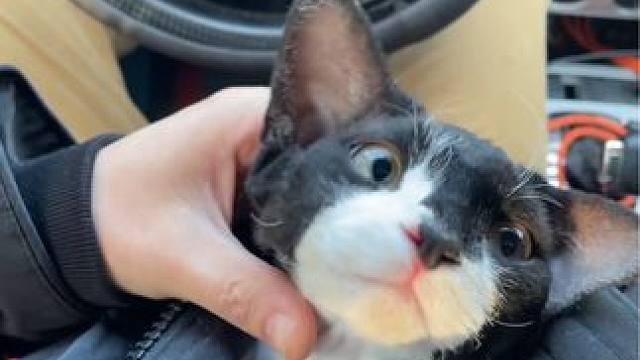 我发布了一个新视频，快来围观吧！