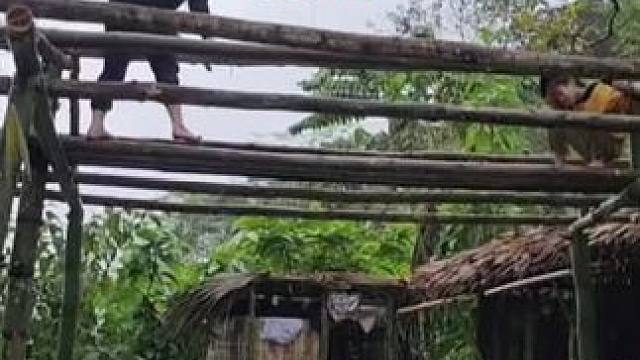 莲娜的生活最新进展#荒野求生 #野外生存 #单亲妈妈