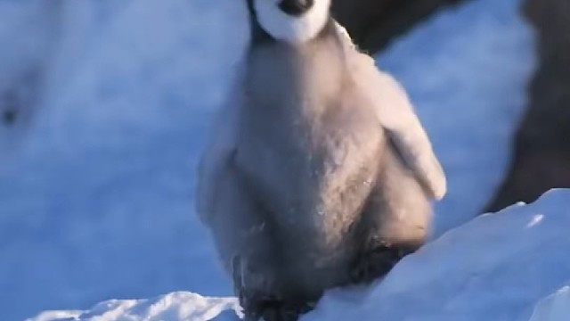 在一步步摔跤中成长，加油哇！！