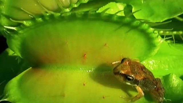 用餐时间到，咔哧咔哧