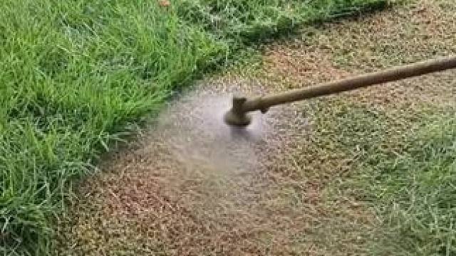 我发布了一个新视频，快来围观吧！