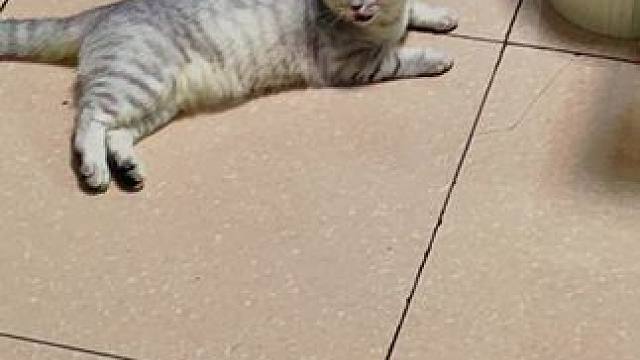 我发布了一个新视频，快来围观吧！