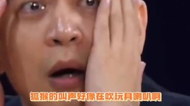 这小东西长的叫的都挺别致的~~