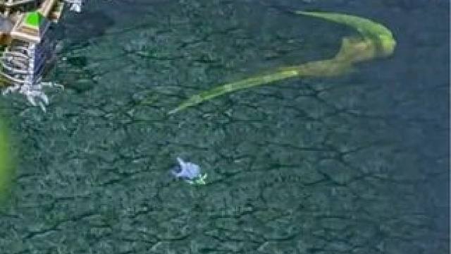 （三）大熊原声大碟，狂战斧幻影刺客，1大9