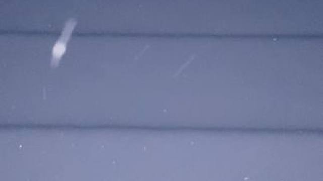 我发布了一个新视频，快来围观吧！