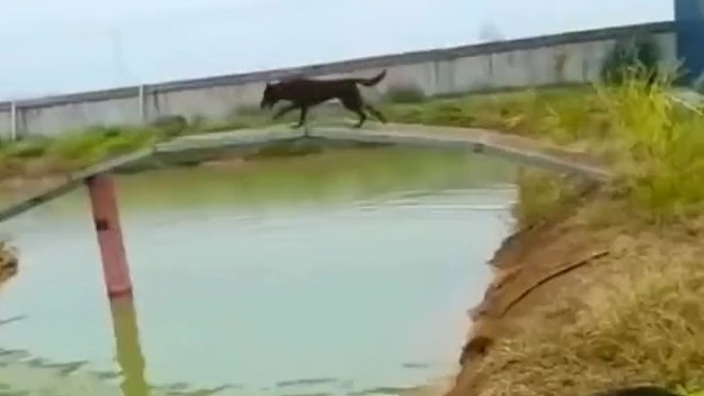 事实证明，只要场合合适，谁都是英雄