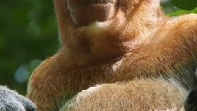 野生动物零距离~