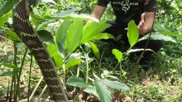 专业操作请勿模仿~