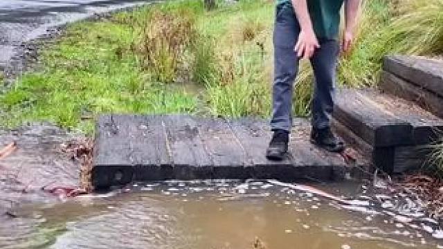 我发布了一个新视频，快来围观吧！