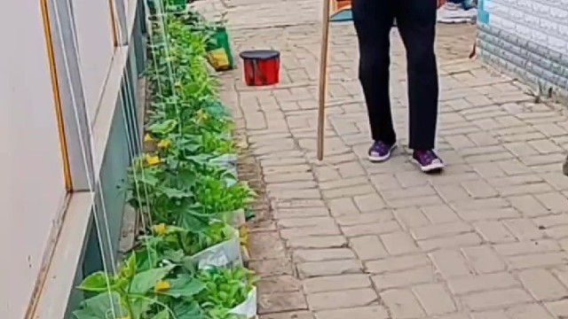 共济失调可改善