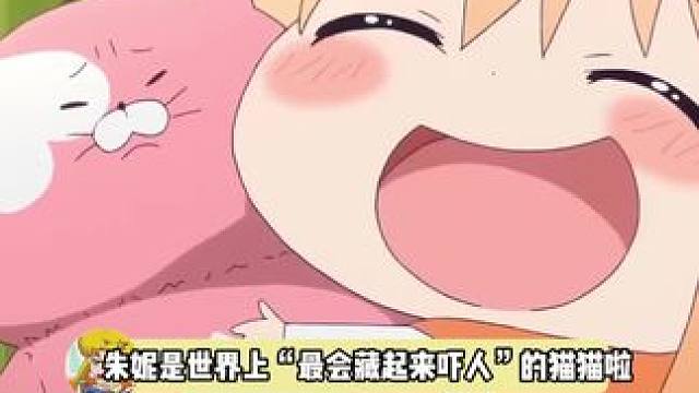 捣蛋猫猫可爱捏，朱妮宝宝来喽