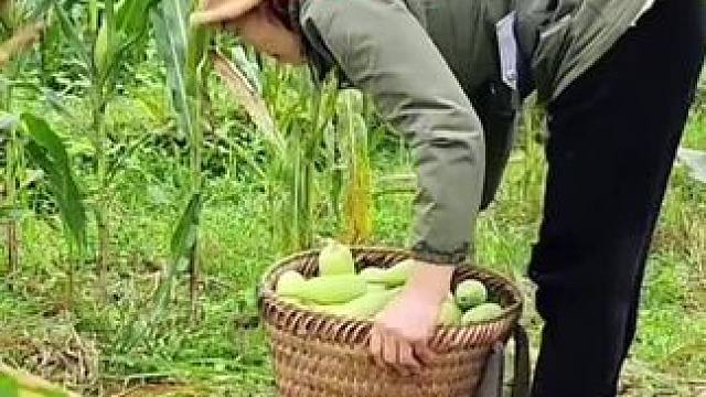 莲娜的生活，最新进展#荒野求生 #野外生存 #单亲妈妈