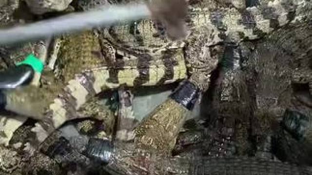 我发布了一个新视频，快来围观吧！