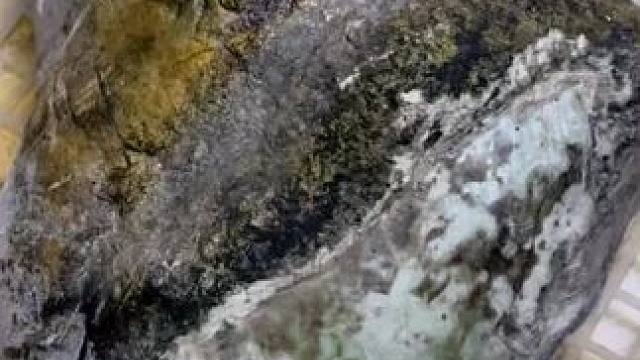 我发布了一个新视频，快来围观吧！