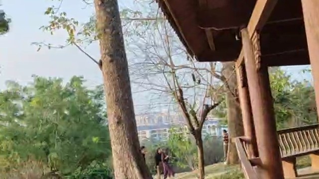 让我们一起去欣赏美丽的风景吧！