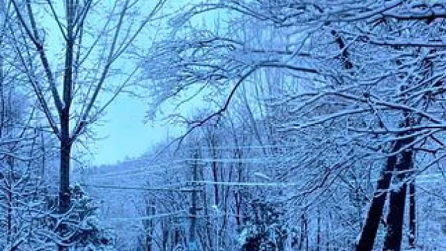九峰山景区 #养在九峰山 #平顶山文旅 冬天最好看的雪来源于：隔着屏幕的雪，路灯下的雪，望着窗外的雪