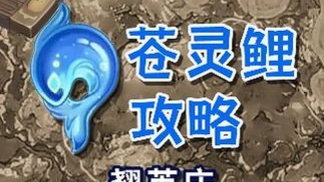 【原神苍灵鲤全收集】翘英庄 共2个(49-50) 沉玉谷 祀珑典仪 赤望台 苍灵鲤 原神4.4#原神